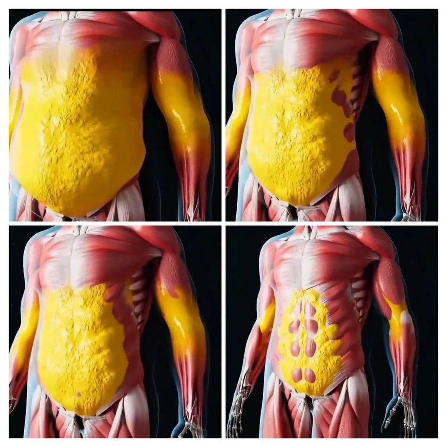 YosuepEstebanX's tweet photo. Cortisol = grasa corporal

Si el cortisol no baja, la grasa no cede. Estas son las mejores formas de reducirlo:

1. No hagas tanto cardio https://t.co/Se8cA5Hq8t