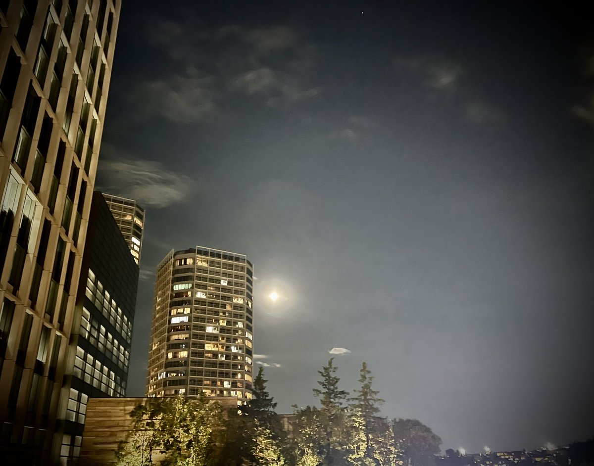 SinLeonhart's tweet photo. おやすみなさい🌕 https://t.co/hk5AGgSnFC