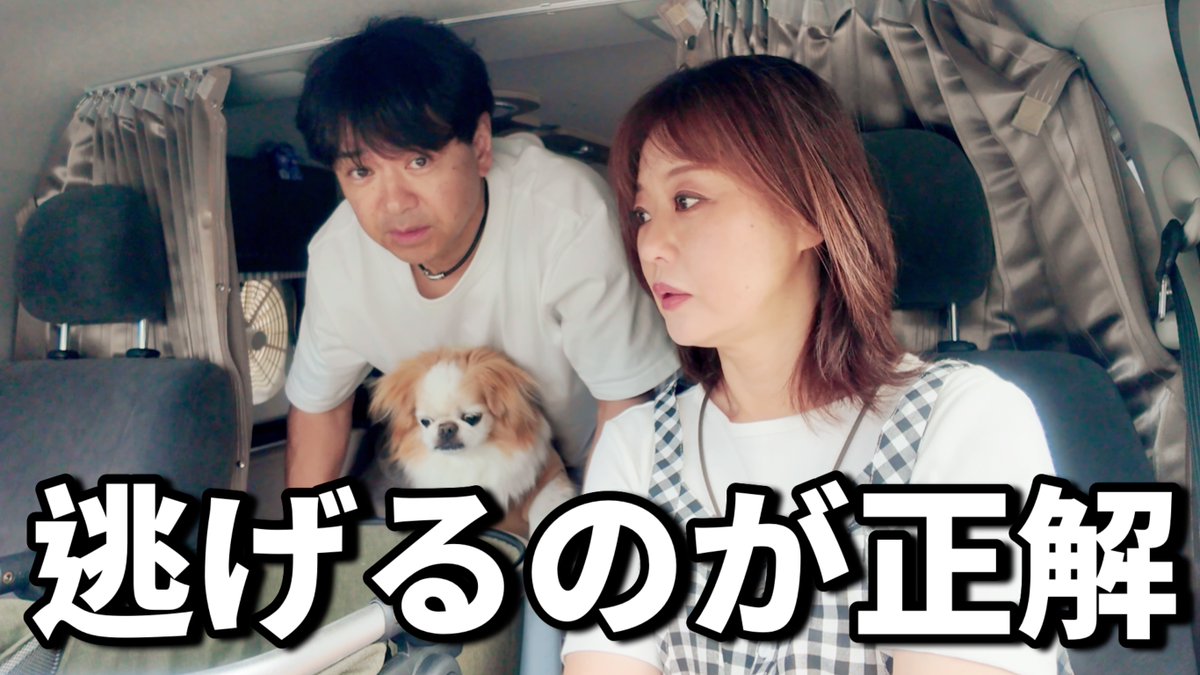 rakusakufriend's tweet photo. 本日19:00🕖YouTube公開🎥

このクソ暑い夏☀️
太陽を避けながら車中泊旅🚎
ずっと行きたかった道の駅を満喫してきたのですが…

チッキショ～😭
#僕の大好物
#165センチ
#SDカード
#楽ちゃんねる

https://t.co/ie2aPJ5uqL https://t.co/btNEKCxmFa