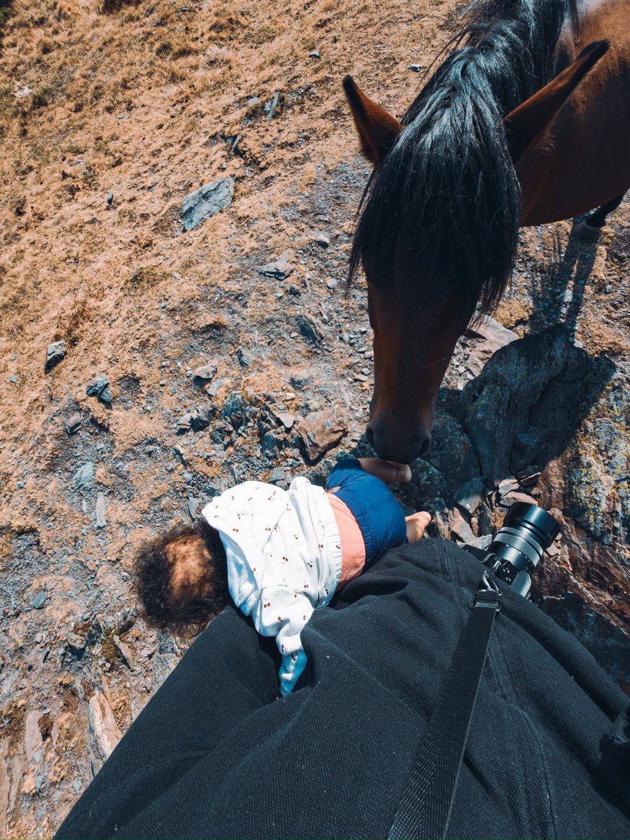 bdrpreira's tweet photo. 1500m d'altitude avec Safya qui découvre les chevaux

#safya https://t.co/BBfxMrgSH4