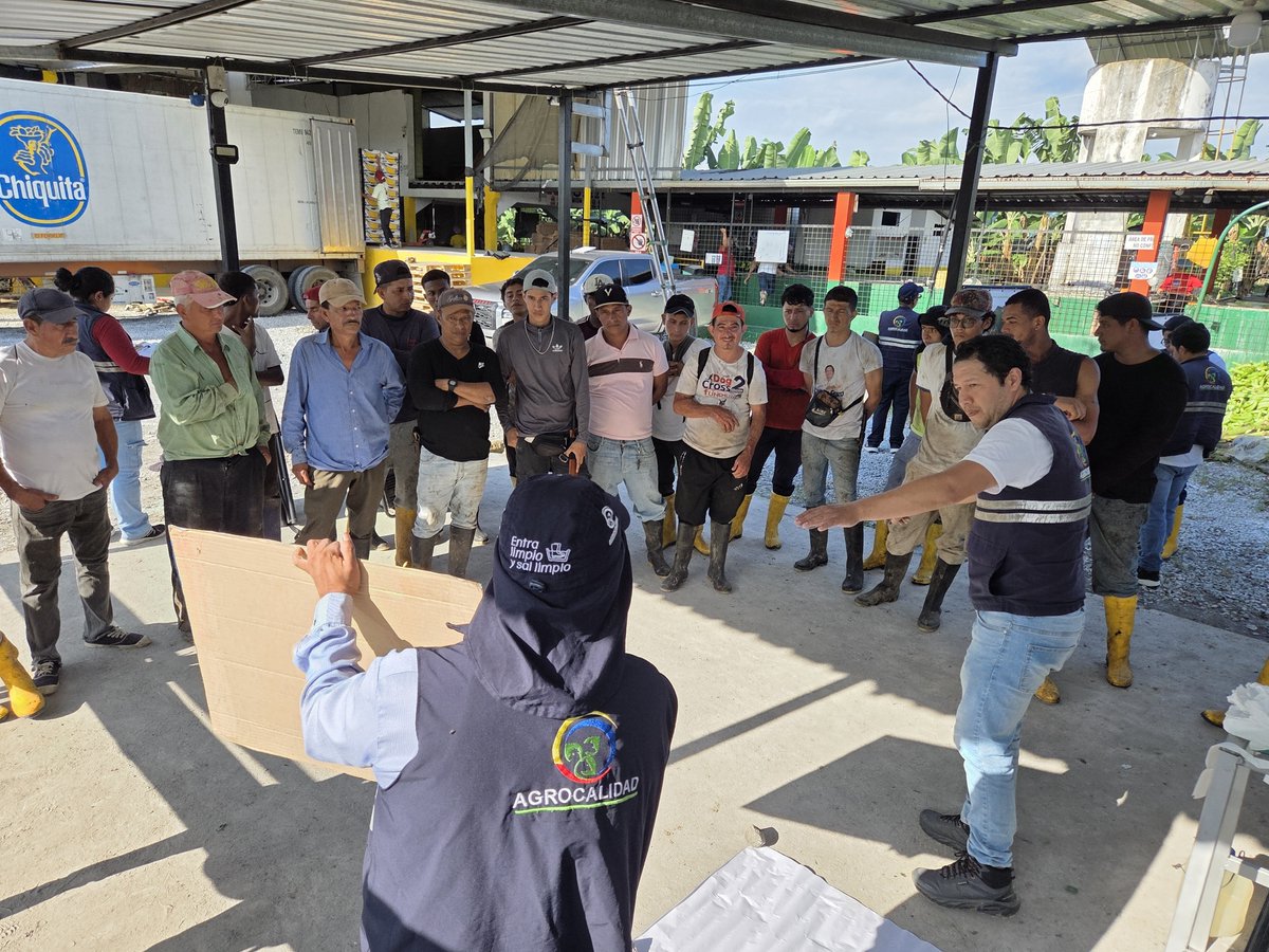 AgrocalidadZ4's tweet photo. #SantoDomingo | Capacitamos a colaboradores en sintomatologia de enfermedades de importancia económica y medidas de bioseguridad en cultivos de musáceas.
#JuntosContraFocR4T https://t.co/wYeUyUMTLK
