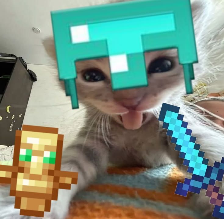 Enderman's tweet photo. https://t.co/hrDf6L5yUL
