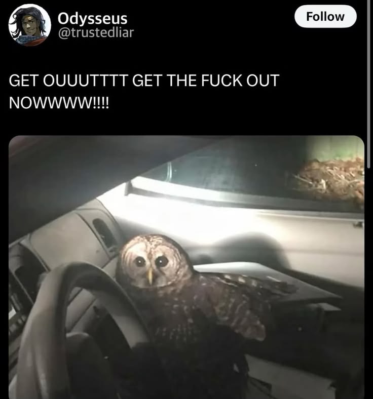 _jakus_host's tweet photo. What i think that GENUINELY will happen if i interact with my friends and Kenjaku's fandom 
#imsofuckingscared #scared https://t.co/qJsBNZ9vLV