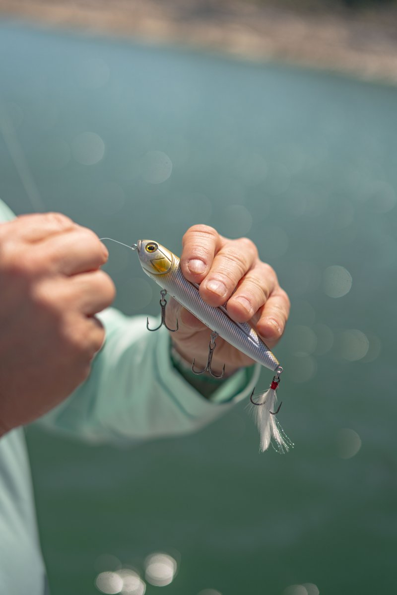 LivingstonLures's tweet photo. The Walking Boss helped propel @LakerHowell to his second tournament victory of 2026! When every cast matters, trust the topwater bait that delivers explosive strikes and championship results.
#LivingstonLures #WalkingBoss #Topwater #BassFishing #TournamentFishing #WinningLures https://t.co/OkwjcwBN7m