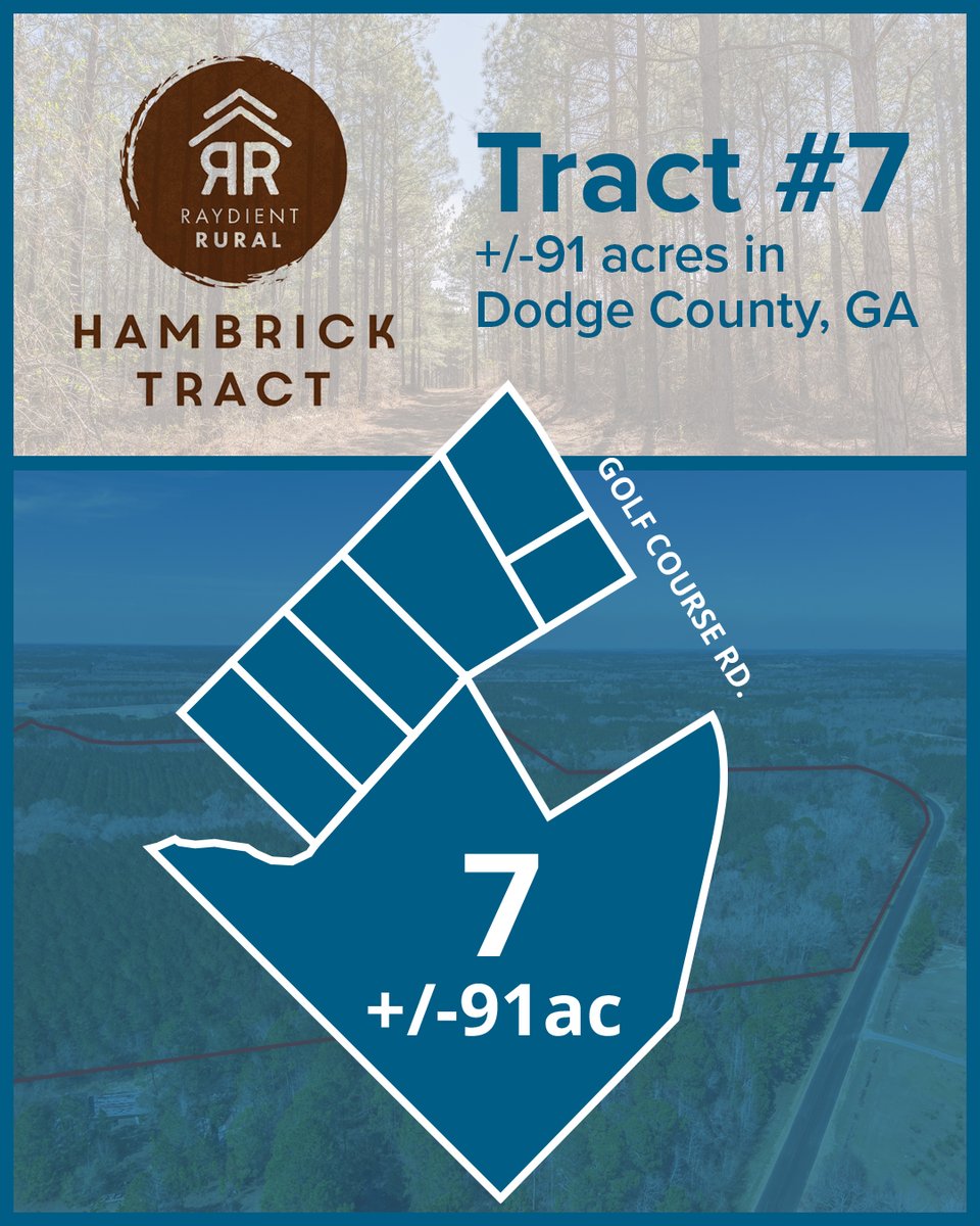 RaydientRural's tweet photo. Spotlight on Tract 7 at Hambrick Tract in Dodge County, GA with +/-91 acres! 

If you're looking for something smaller, don't worry – there's also lots starting at just 4 acres.

Learn more: https://t.co/5EgRIlvC04 https://t.co/4fxTzCGPeQ