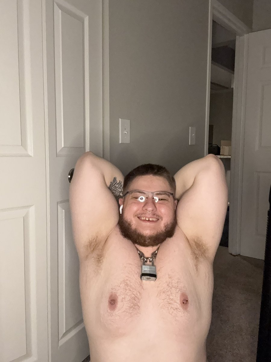 Arkticpuppy's tweet photo. As an apology for posting the same post again here’s pits https://t.co/qgI3s4ocNk