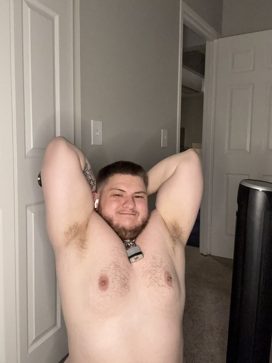 Arkticpuppy's tweet photo. As an apology for posting the same post again here’s pits https://t.co/qgI3s4ocNk