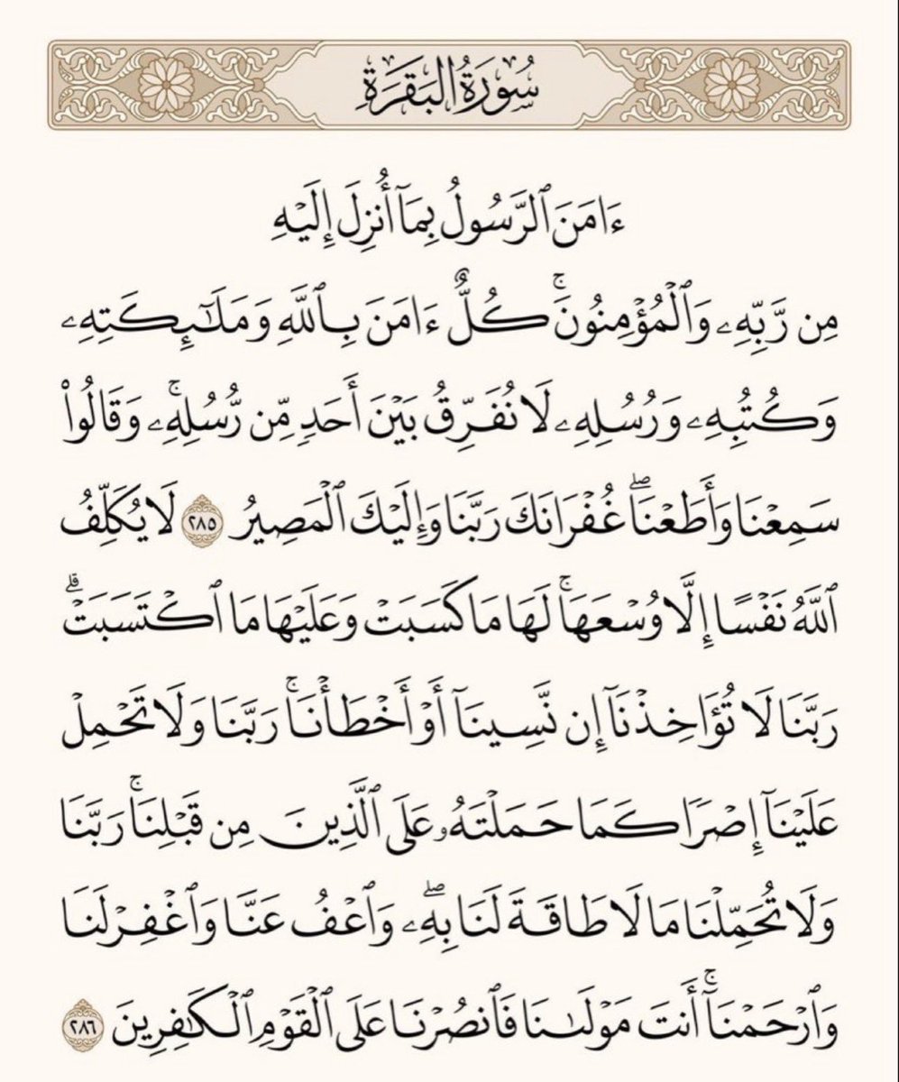 Saad_Bandicoot26 tweet media