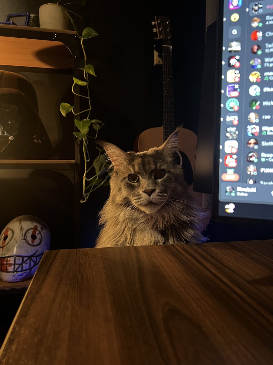 Skrubski's tweet photo. Live now playing some Chaos Shuffle!
Atreus will be watching too (he’s creepy)

https://t.co/5CVPJUJ5Bi https://t.co/XL0m8hvSxF