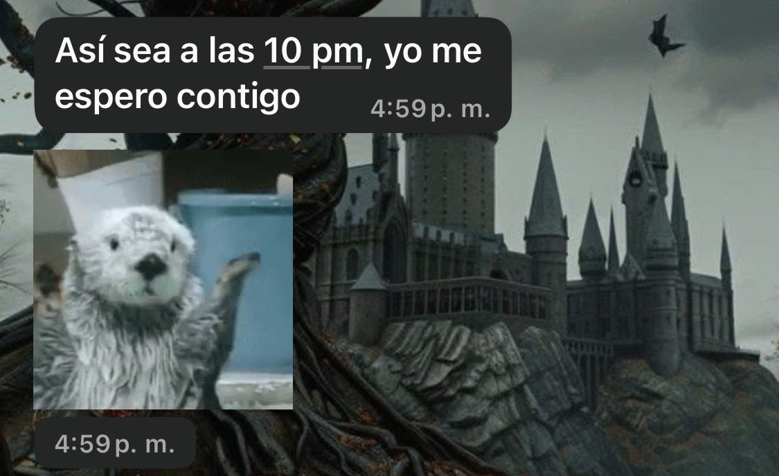gioMafavon's tweet photo. 🥹❤️‍🩹✨ no me vengan con preguntas pendejas de porque él está por encima de todos. https://t.co/ALBcncmI1y