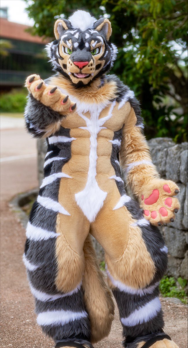 ZephTiger's tweet photo. 🐯🐾✨

 #InternationalTigerDay https://t.co/Y8l3WUpeJW