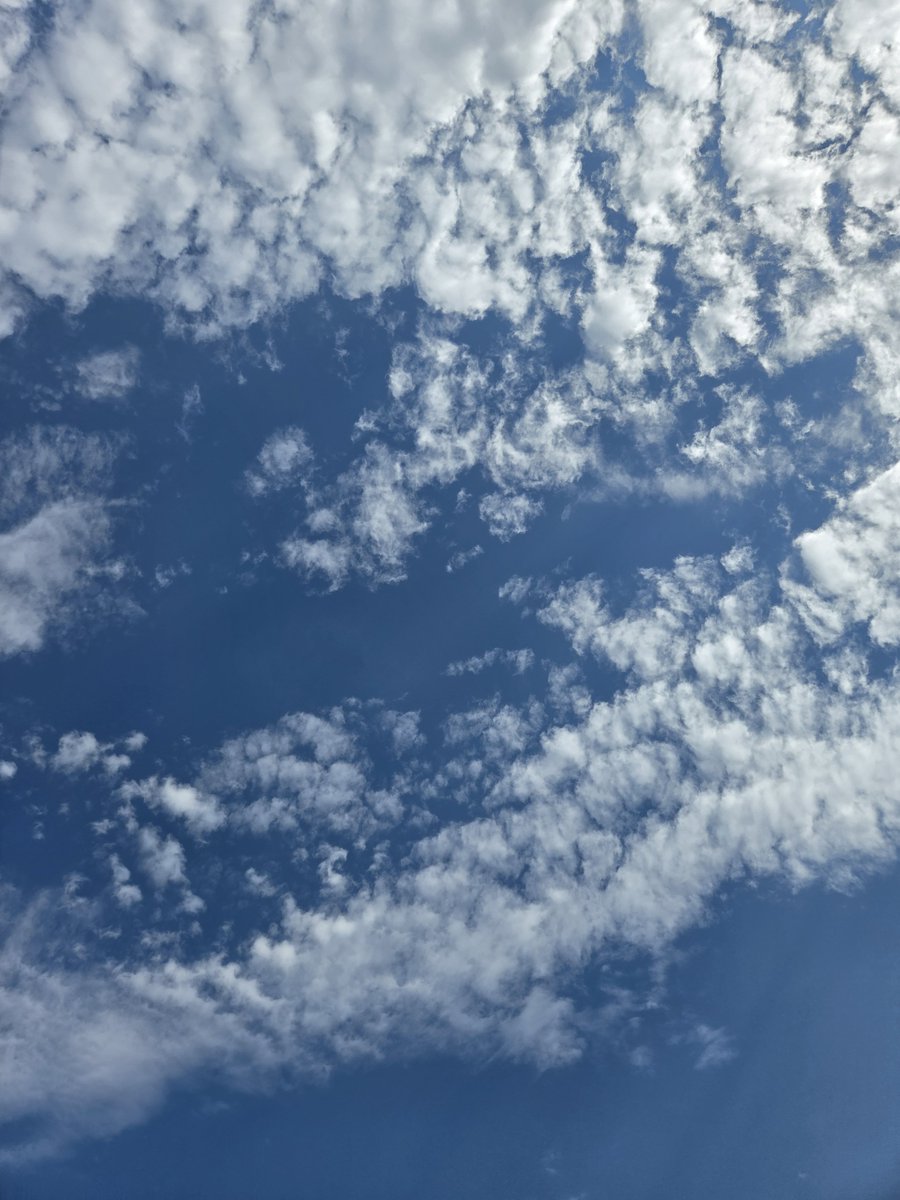 2_ElAveAmarillo's tweet photo. 関東地方 危険な暑さ続く
天気急変にも注意を

⚠️熱中症警戒アラート：
　小笠原諸島 千葉 神奈川 茨城

※引用：環境省、気象庁など https://t.co/hRs3wvqwZh