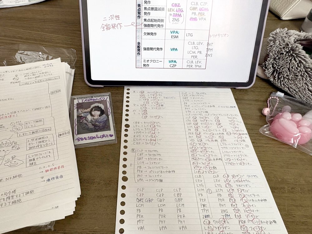 155cmXkg's tweet photo. 勉強机、こう。スクイーズむにむにしすぎて肉球取れちゃったт_т https://t.co/Ed3vkQ3xXw