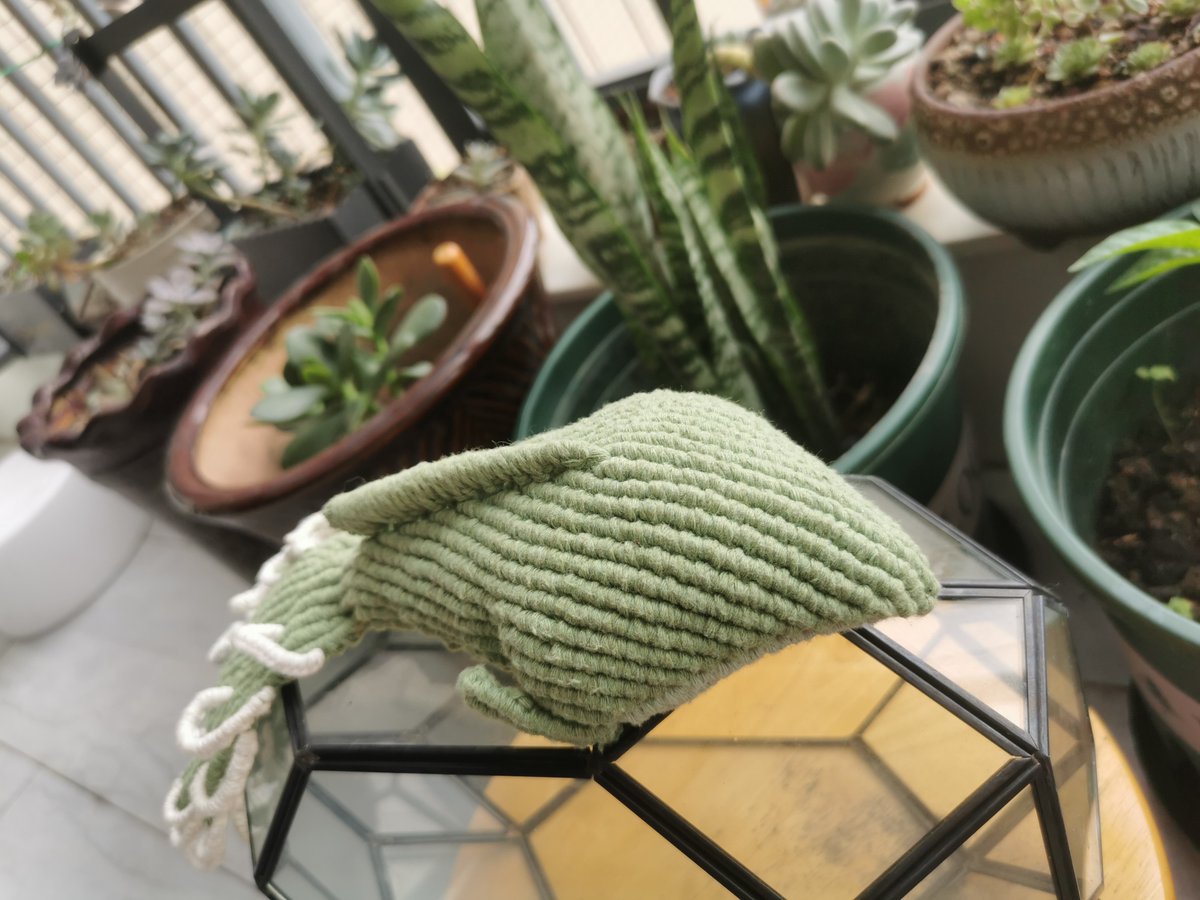 RobertsonA25876's tweet photo. DIY macramé keychain made with cotton cord  Quick weekend craft that adds a cute, personal touch to bags or keys! Great for beginner crafters too  #HandmadeDIY #MacrameCraft， https://t.co/fLkz9cafJA
