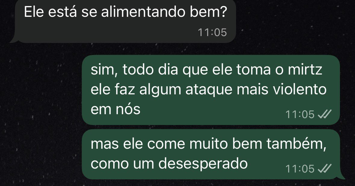 matheusdevdd tweet picture