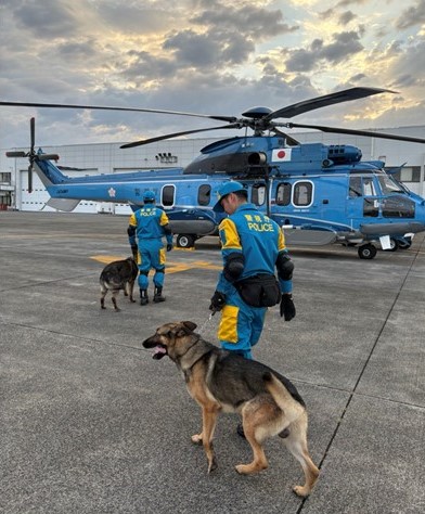 MPD_bousai's tweet photo. 本日、警視庁警備第二課員３名、警備犬２頭が「令和８年熊本地震」に伴う救助活動のため航空隊ヘリに搭乗し現地に向けて出発しました。今回の救助活動に派遣された警備犬は「クヴァス」号と「クセノファネス」号です。一人でも多くの被災者を救出するため全力を尽くします。 https://t.co/JghVBN4Utd