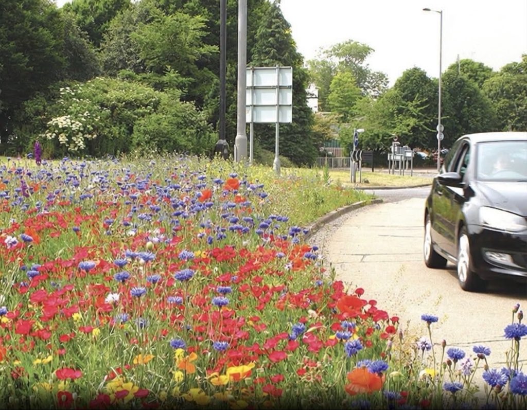 Puppieslover's tweet photo. A UK town replaced 8 miles of mowed grass with wild flowers, saving £25,000 a year while bringing back bees, butterflies, and birds. https://t.co/fgc1iypFAP