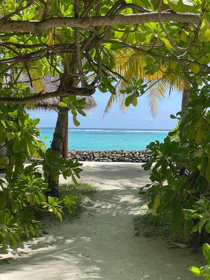 echoesofworld's tweet photo. Hawaii 🌴 https://t.co/bV2NGmlBmF