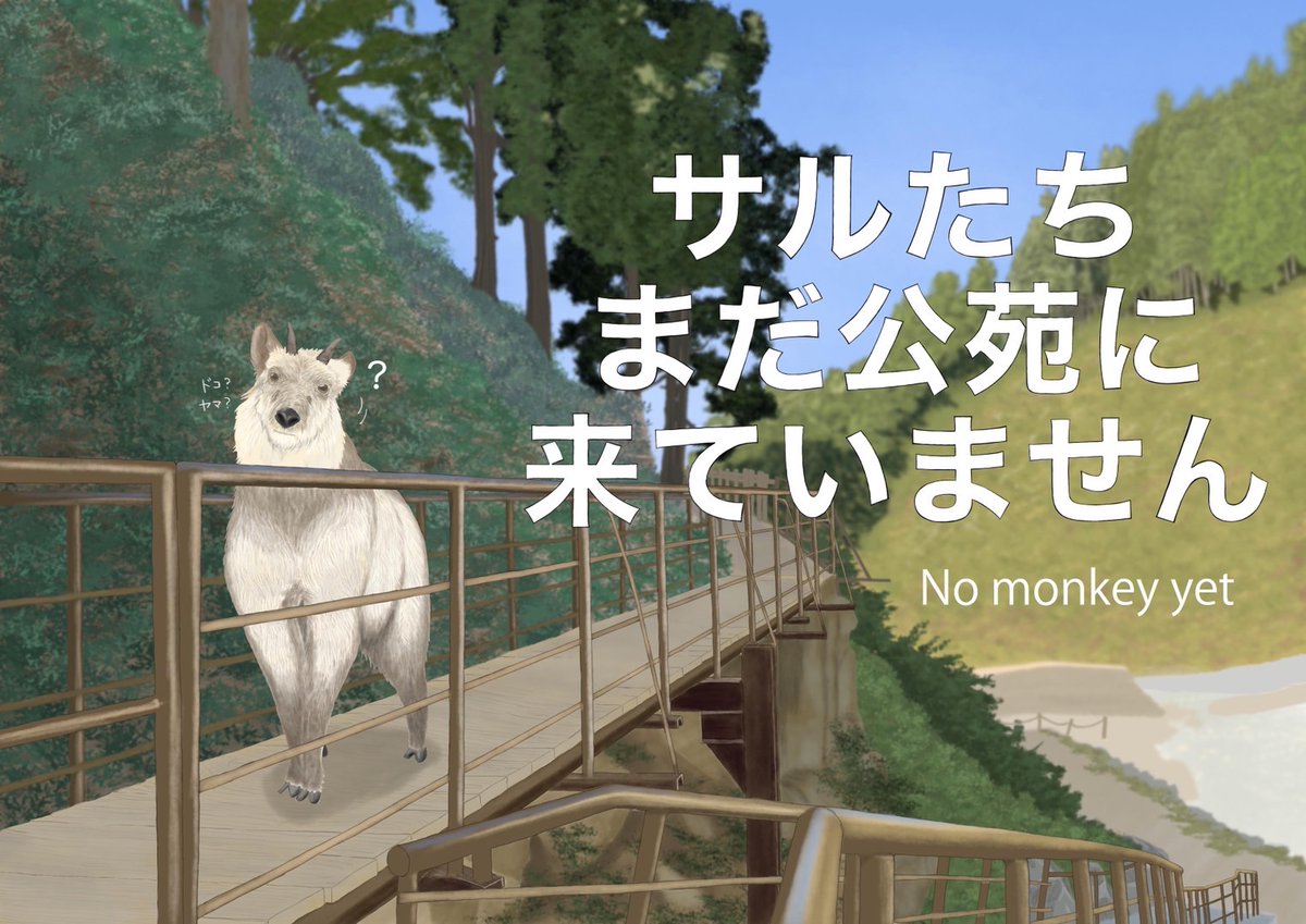 jigokudani_saru's tweet photo. 7/30 8:30  サルたち来ていません。
おはようございます。
サルたち公苑に来ていません。
現在、スタッフが山に登りサルたちを捜索して��ります。
情報更新をお待ちください 。 https://t.co/GC1Yvz9S7z