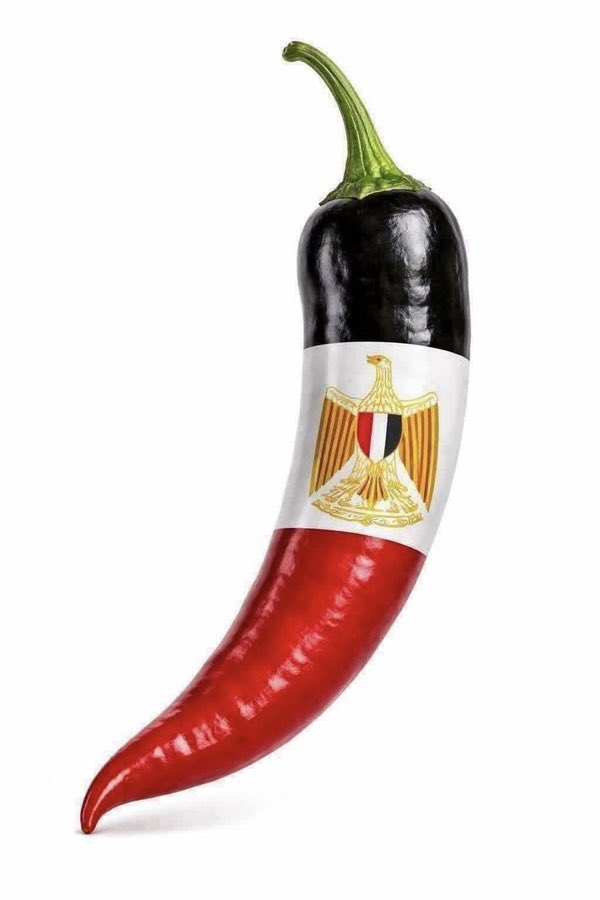 MrKndel's tweet photo. مصر طلعت حراقة اوي https://t.co/sZpLXUbo1T