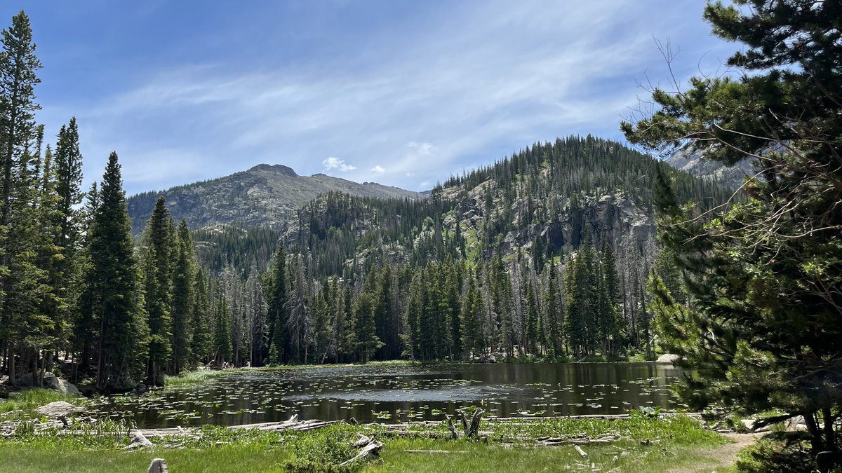 didsko_'s tweet photo. @unscannyx Colorado is peak. https://t.co/Dfe8XUjL3T