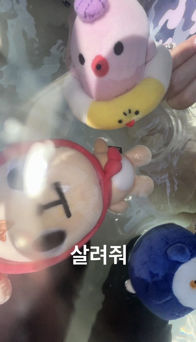 _4euv's tweet photo. 우리 너무 재밋었엇다 그치 https://t.co/bFPjfOj8NN