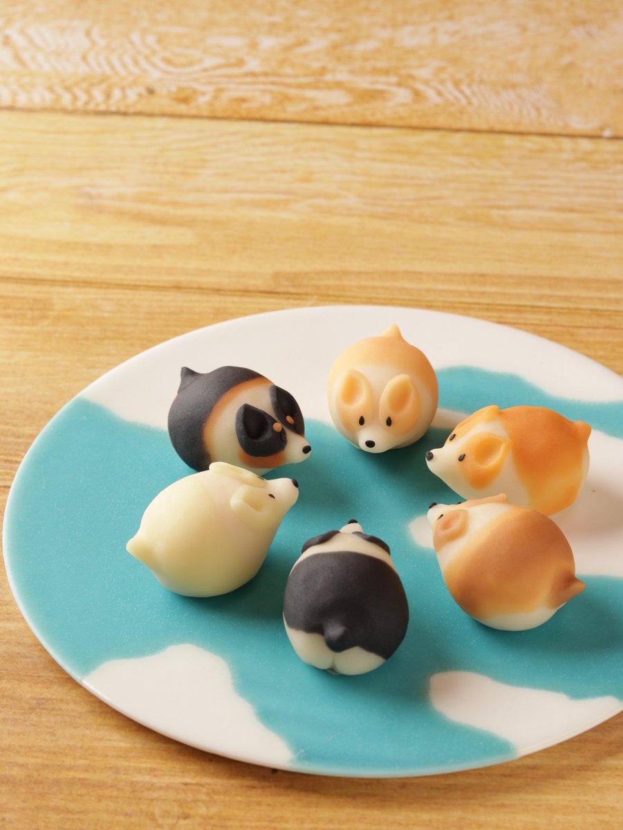 beniyamiyake's tweet photo. オンライン販売は今夜20時です🐶
お品物は準備が整い次第、順次発送いたします🚚 https://t.co/XY0Ia1N2Fu