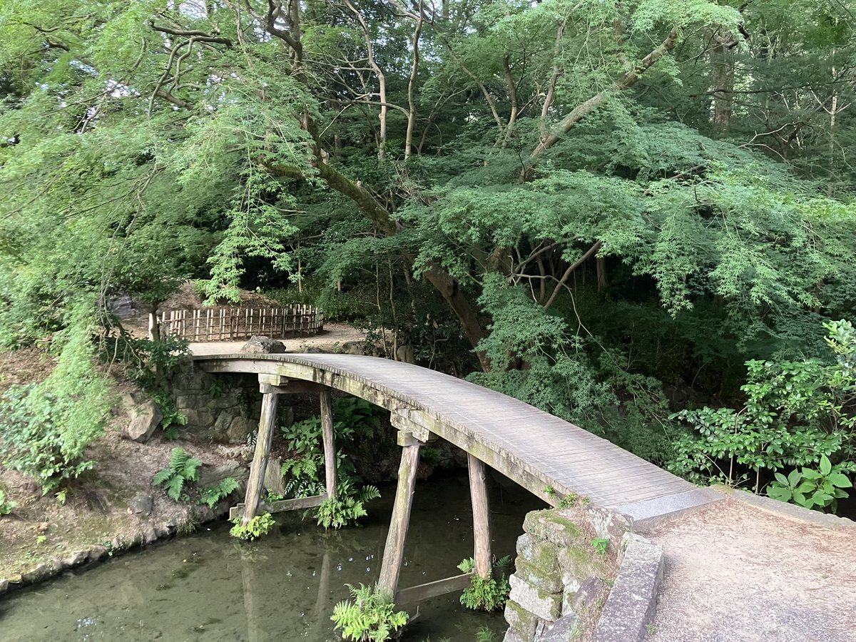 OgaPenholder's tweet photo. 早朝の栗林公園

もっと涼しい時期にゆっくり巡りたいなぁ https://t.co/U0PxZAZkQT