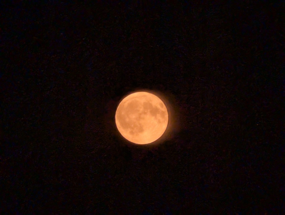 r34rgtr's tweet photo. Pas de batterie sur le Lumix, Go au bigophone 🤷
#fullmoon https://t.co/Vbts29vw6d