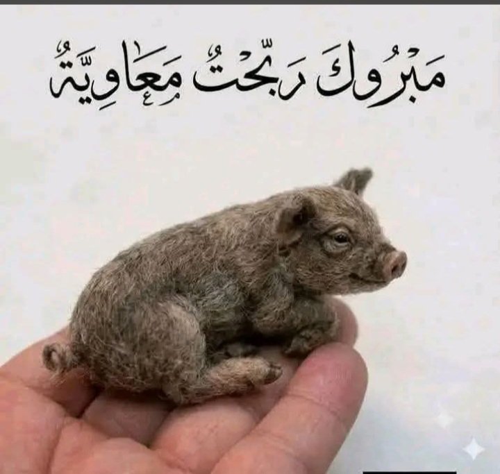 AlHydr75724's tweet photo. @fatima_alhaidar https://t.co/wF8gV17OL7
