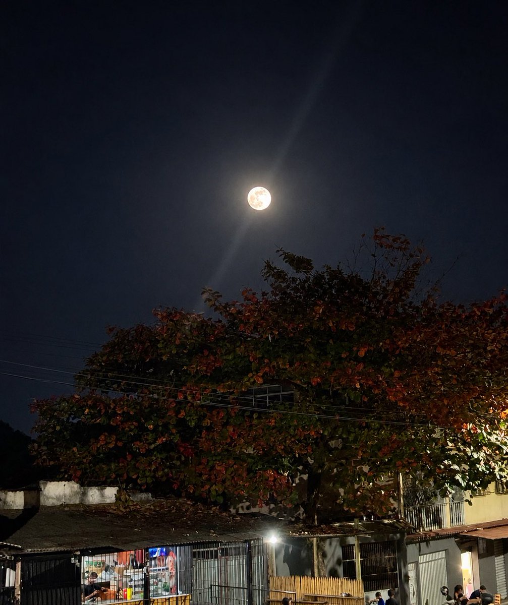 LannesNeide's tweet photo. Pare um pouco e olhe pro céu . Ela está linda hoje https://t.co/WHg8UyDTiZ