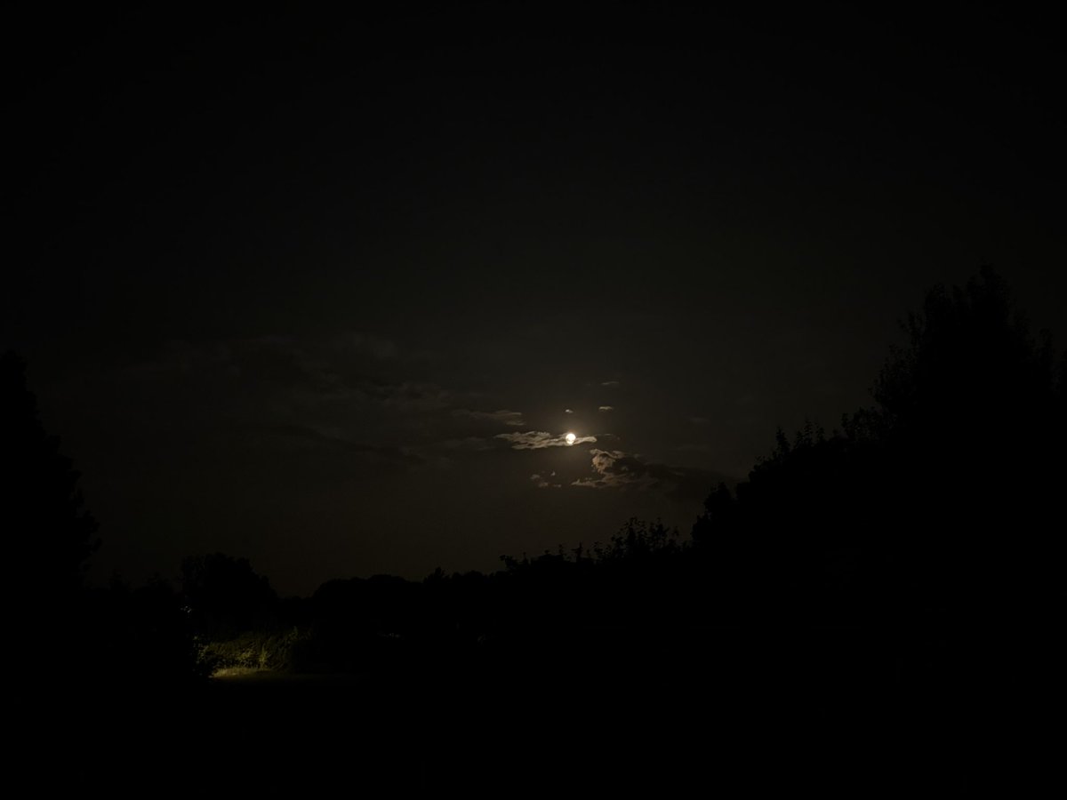 emaavec1seulM's tweet photo. 29/07 full moon https://t.co/rjQdQgV6A9