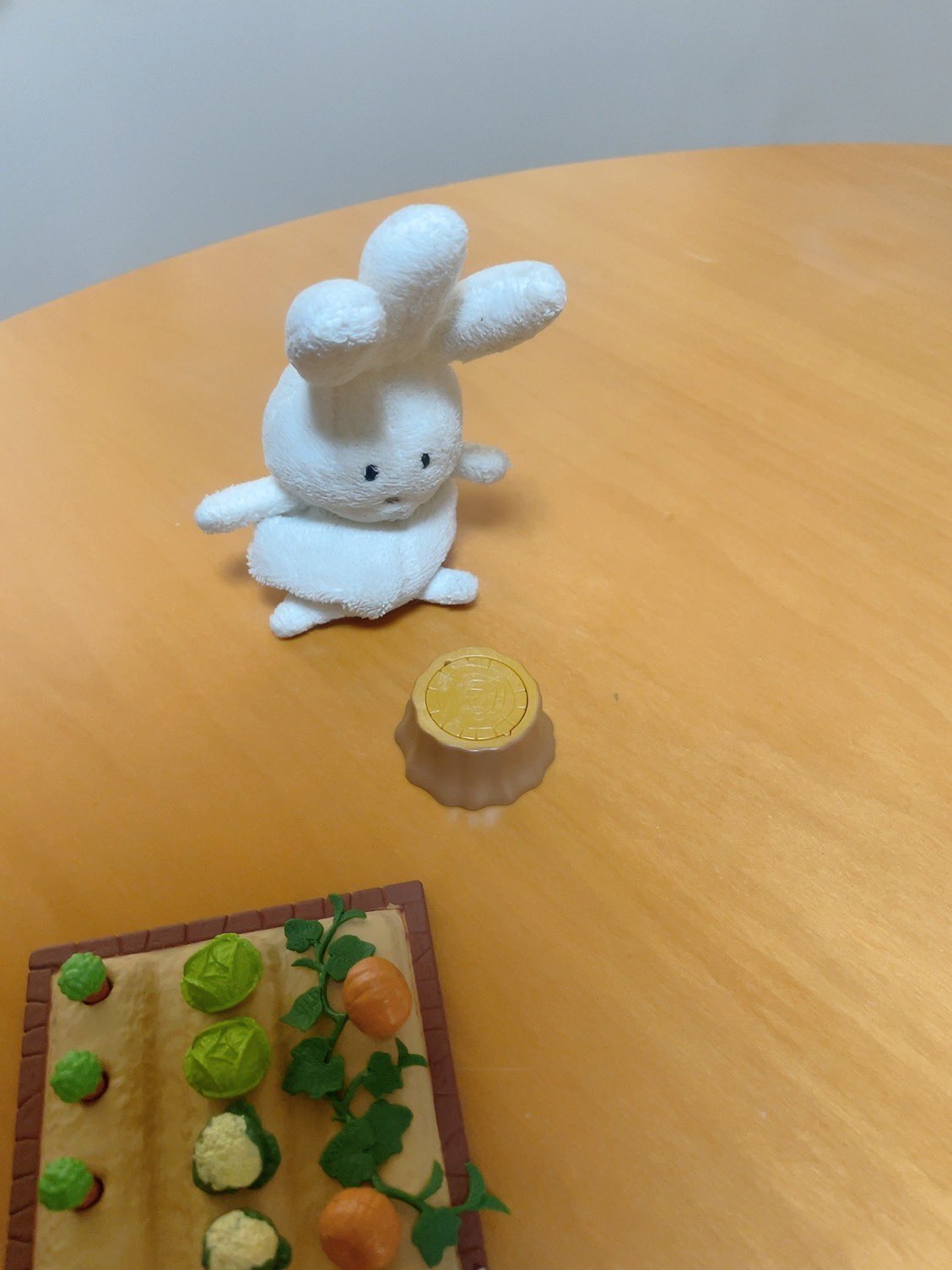 ウサギ様　オーダー