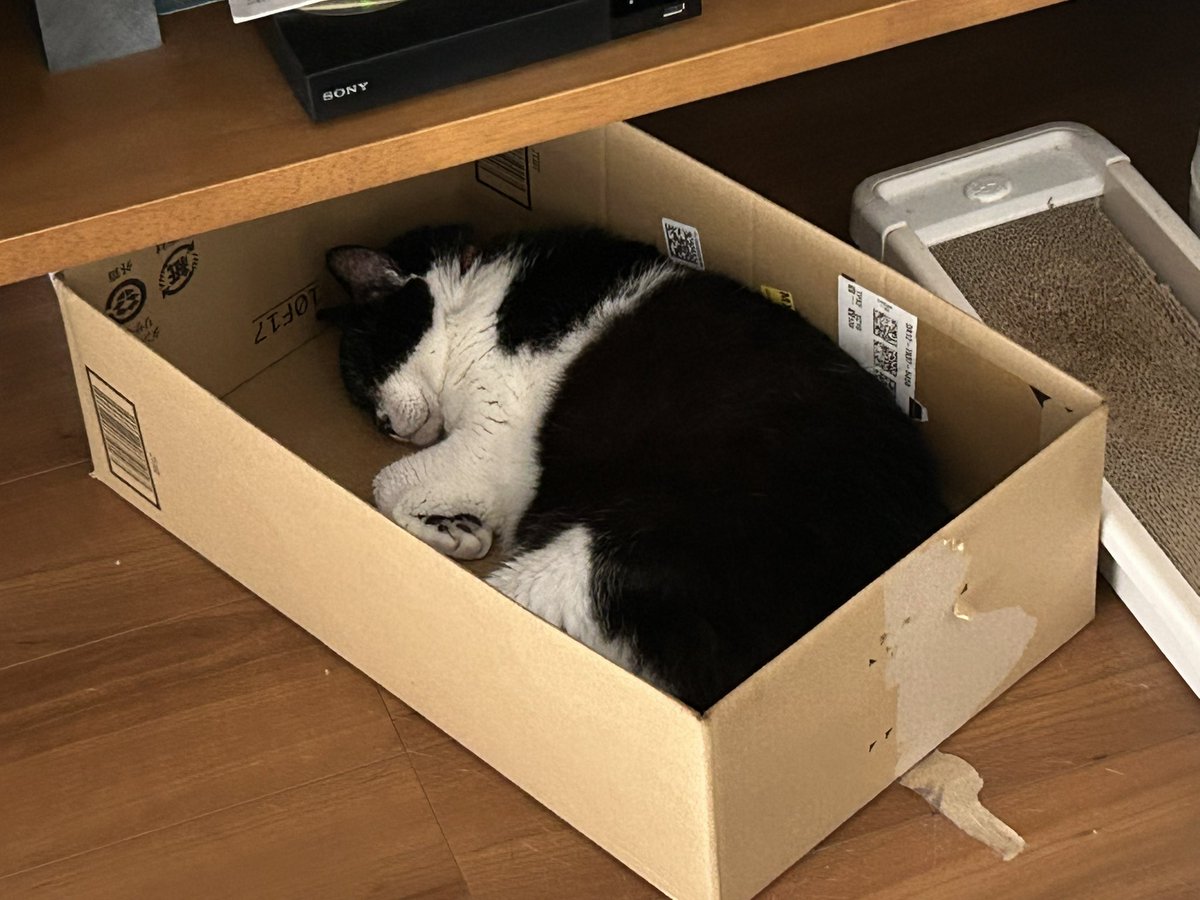 ainya_rui's tweet photo. お気に入りにされすぎて捨てるに捨てれなくなったダンボール。。。 https://t.co/PdnoelGP0B
