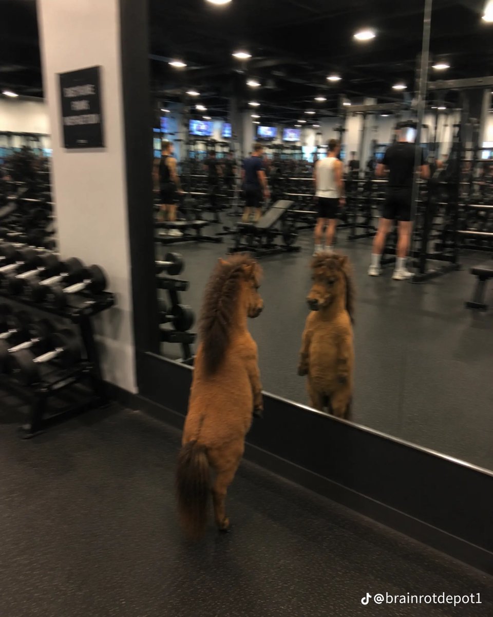 H1MB40's tweet photo. Up in the gym not doing shit https://t.co/YnHcmzfEwg