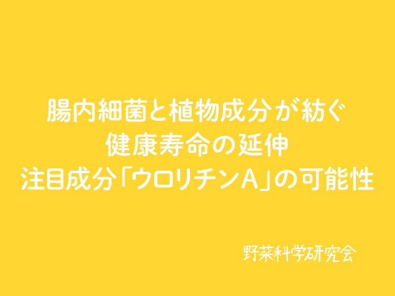 vegescience's tweet photo. ザクロやいちご、美味���いだけじゃなかった！🍓

これらに含まれる成分が、腸内細菌の力を借りると「ウロリチンA」という物質に変身。
今、健康寿命をのばす鍵として注目されています👀

私たちの健康をどう支えているのか、そのメカニズムを読み解きます💡

記事はリプ欄へ🔽

#野菜科学研究会 https://t.co/rTvswKVgEz