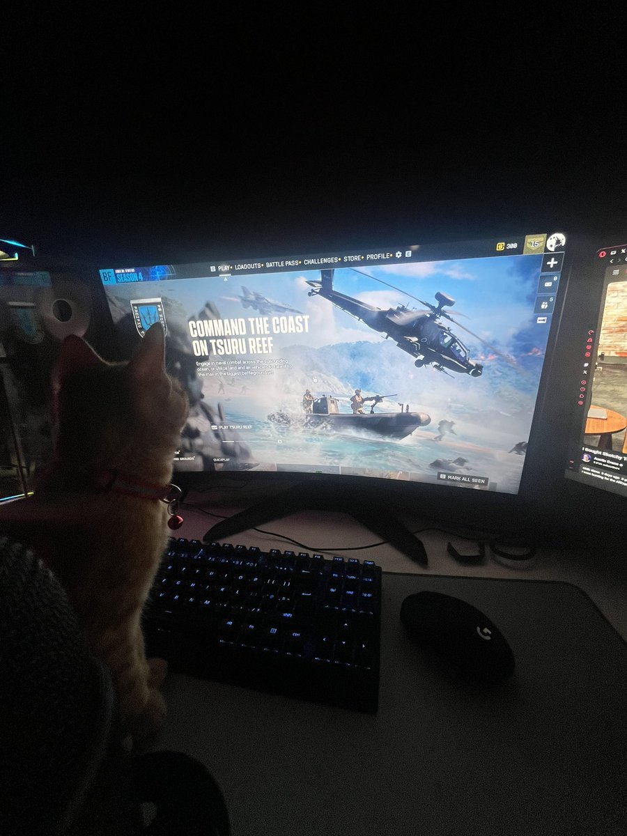 SapphicYuuri's tweet photo. Blaming my cat for every loss https://t.co/utpvHHb3XU