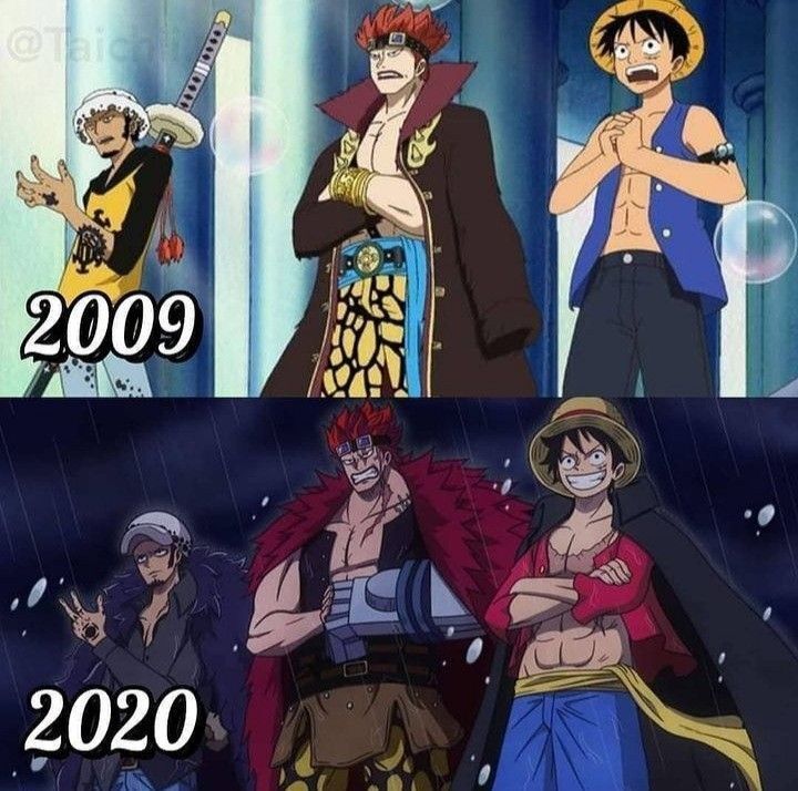 One Piece Daily tweet media