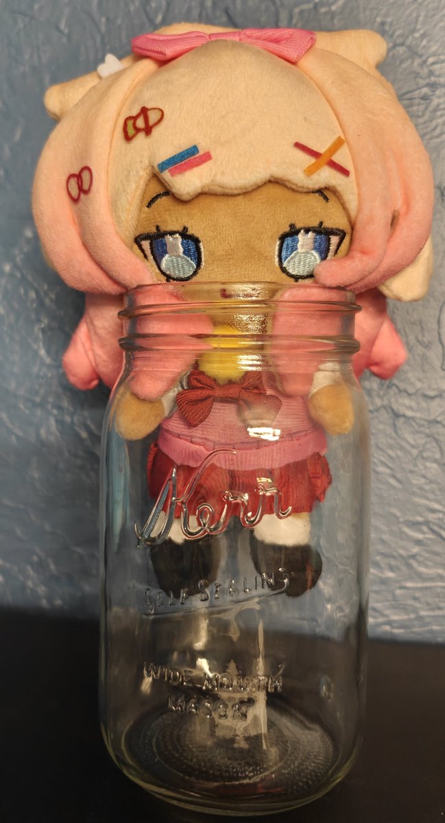 No1Special___'s tweet photo. The Shibi plush has arrived and can confirm it is just too large for the average Mason Jar #Bunwild https://t.co/9DvUaGW8uL