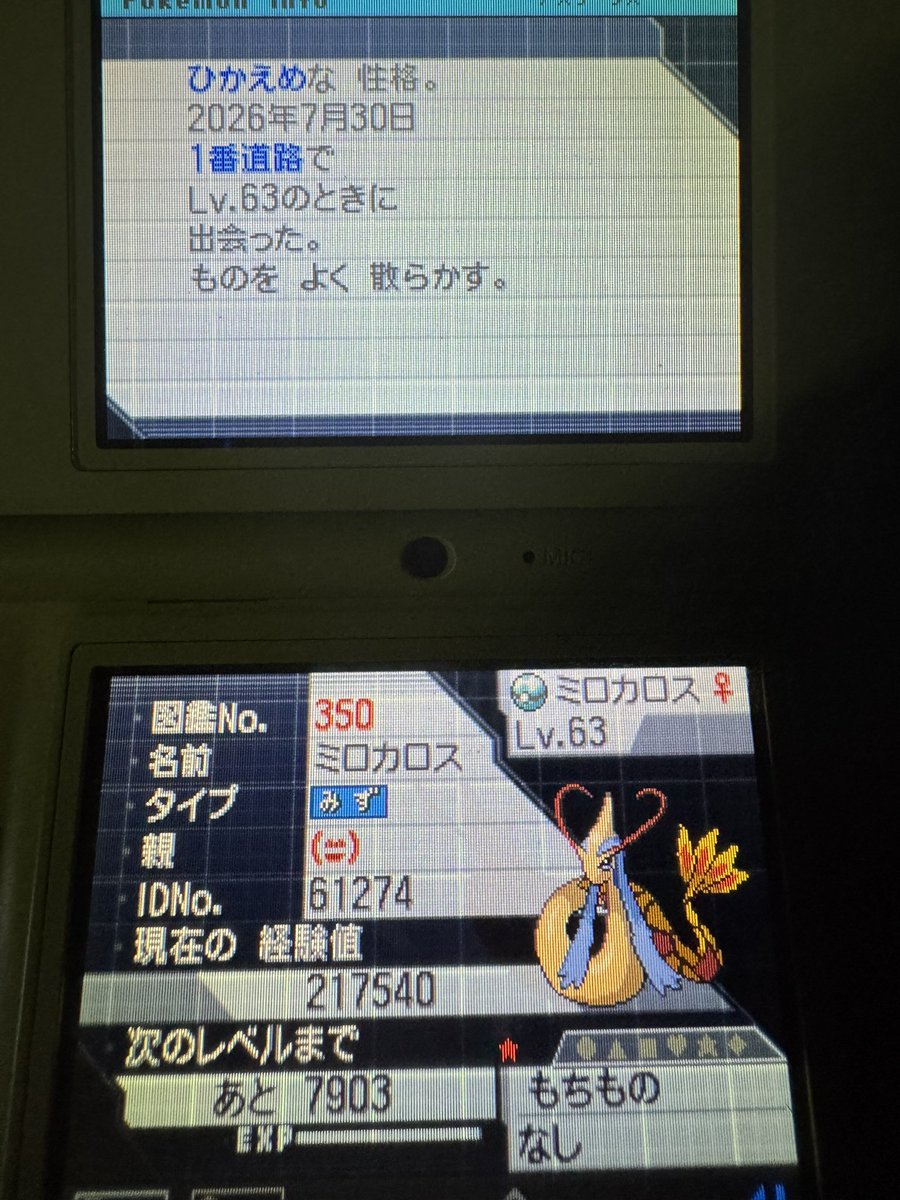 pokeyama66sd's tweet photo. ついに釣れたああああああああああああああああああああああああぁぁぁ！！！！！！！！

ポケモンブラック2の1番道路で5%の確率で釣れるミロカロスを色違いで捕まえることができましたああああああああああああぁぁぁ！！！！！

予想より早くて驚いてます💦💦
それでも半年かかりましたが:( ;´꒳`;):

疲れたけど達成感は凄い……(゜∀｀；)