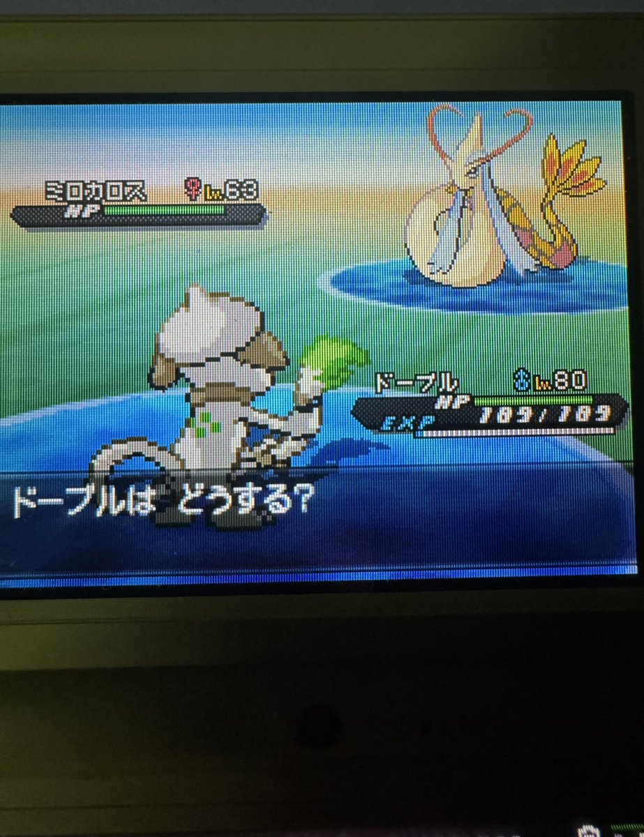 pokeyama66sd's tweet photo. ついに釣れたああああああああああああああああああああああああぁぁぁ！！！！！！！！

ポケモンブラック2の1番道路で5%の確率で釣れるミロカロスを色違いで捕まえることができましたああああああああああああぁぁぁ！！！！！

予想より早くて驚いてます💦💦
それでも半年かかりましたが:( ;´꒳`;):

疲れたけど達成感は凄い……(゜∀｀；)