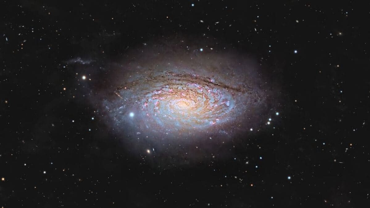 konstructivizm's tweet photo. The Sunflower Galaxy 🌻

Canadian astrophotographer Ronald Brecher captured a detailed image of the galaxy Messier 63 (NGC 5055), known as the Sunflower. It is located in the constellation Canes Venatici. The photo was taken from a private observatory near Guelph, Ontario, and reveals bright spiral arms that resemble flower petals. The galaxy lies 27 million light-years away.

Light from this galaxy reaches Earth thanks to the radiation of numerous young, blue-white stars. Their light highlights the Sunflower's dynamic structure, making it one of the most picturesque objects in the Messier catalog.