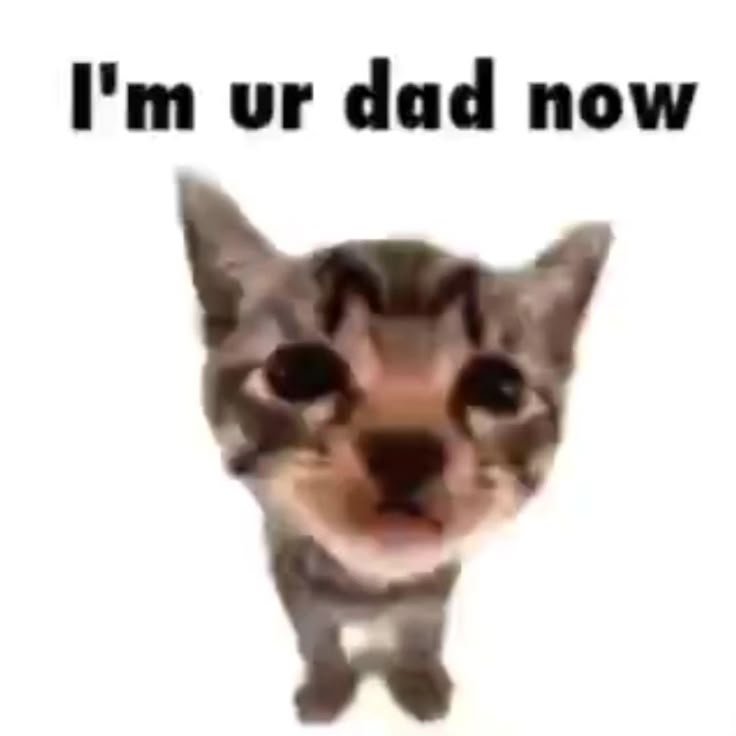 cringey_burble's tweet photo. @daneluvrs https://t.co/n3dsdf2Avp
