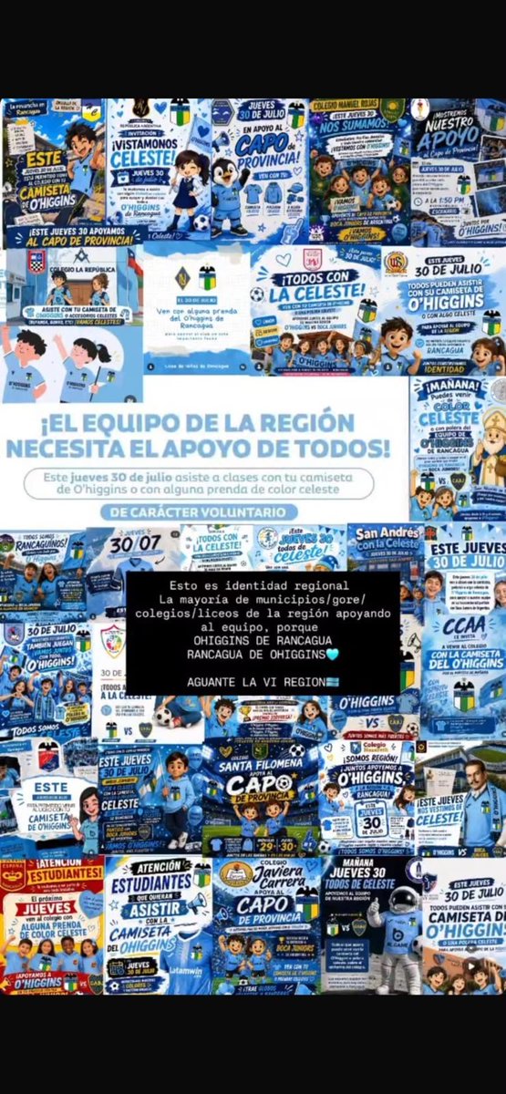 flutex_'s tweet photo. #somoscelestes No son 11 en cancha. Es una región de huasos y mineros soñando en celeste. Pq cuando estamos juntos, pasan cosas bonitas. Aguante la celé https://t.co/2LBldNvg1d