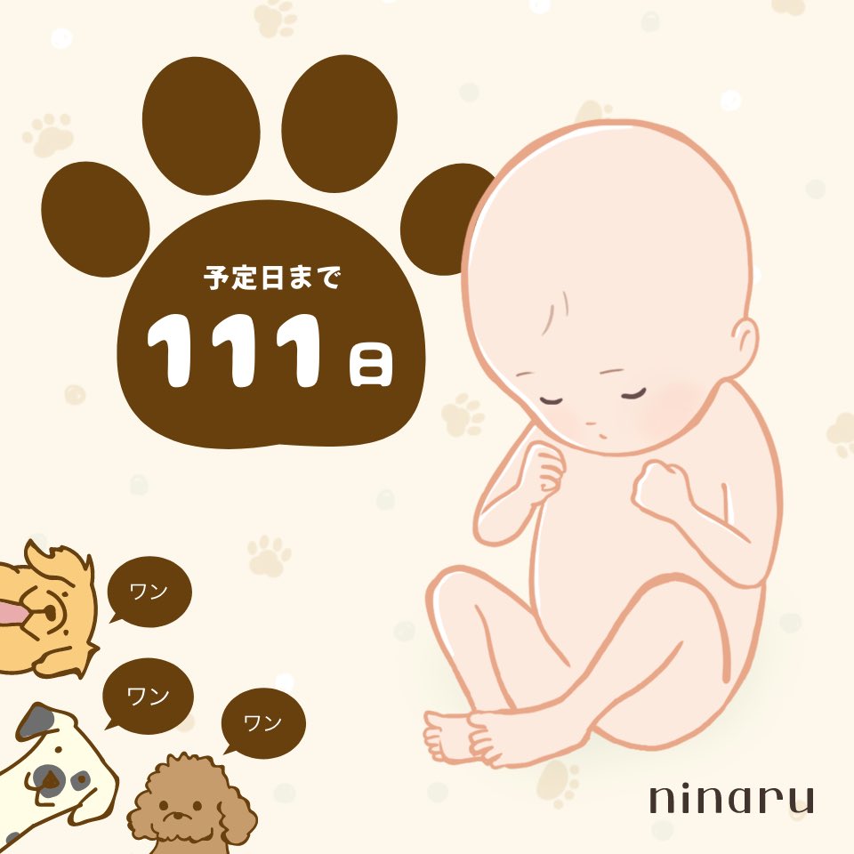 _rai_727's tweet photo. 111だ🐶🎶！！ https://t.co/pb5RKs88CZ