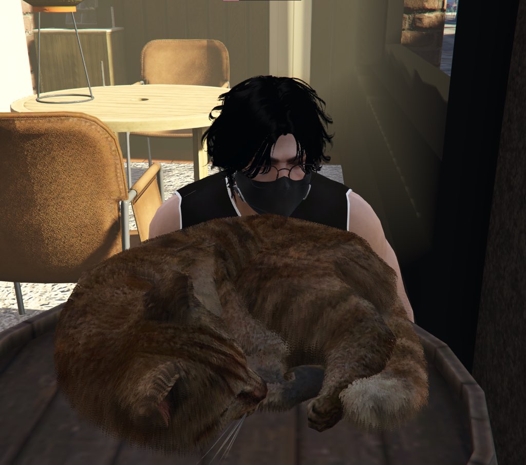 __cutie314's tweet photo. he found a cat and sat with it while vina bullied yoshi and luka laughed https://t.co/GBbvhPd2So