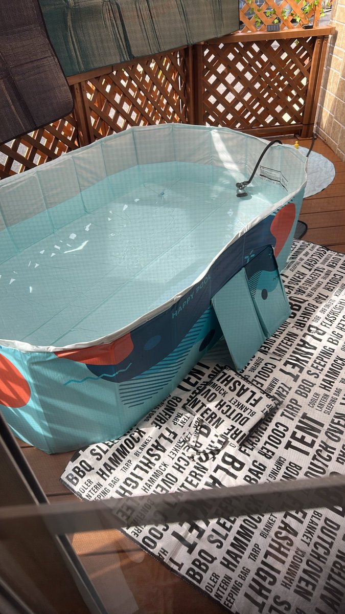 bcccncccd's tweet photo. プール開き🏊‍♂️ https://t.co/9TbqYTT1Vg