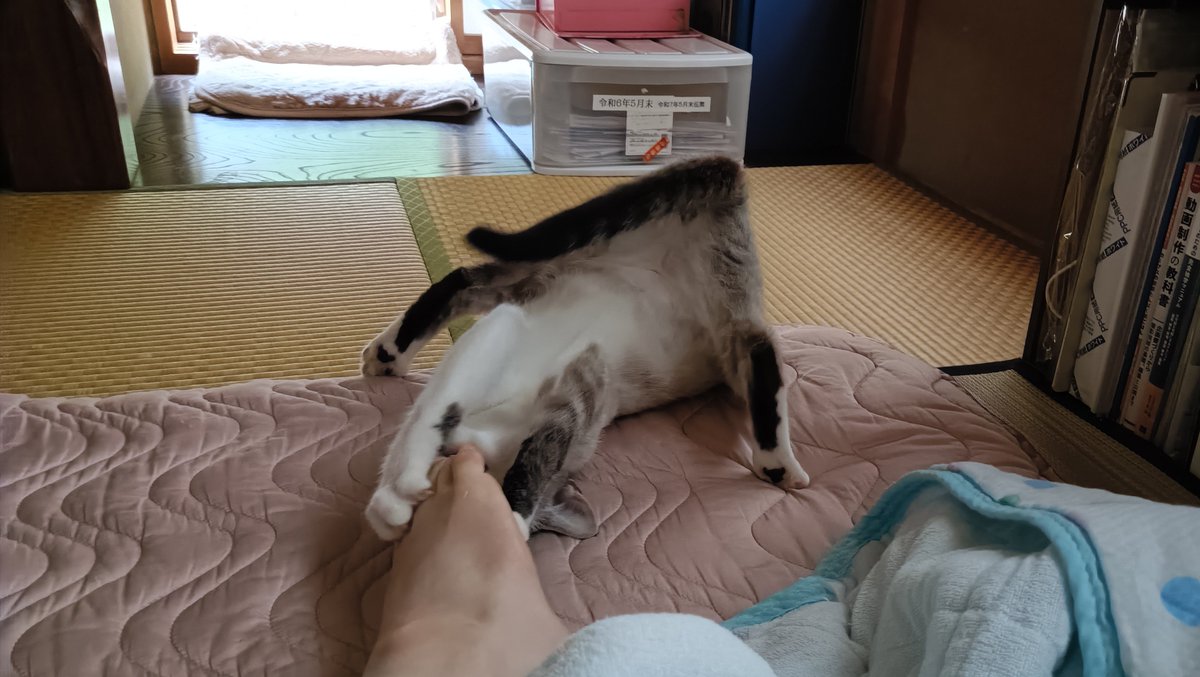 karintou_0507's tweet photo. おぱ☀(ルビ子の爪いてえ) https://t.co/ZERRPeWPAs