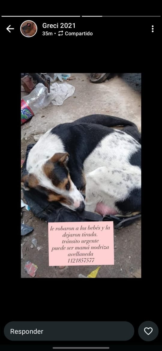 patripeyrou's tweet photo. Rt
Difundimos https://t.co/zoqsTolK6M