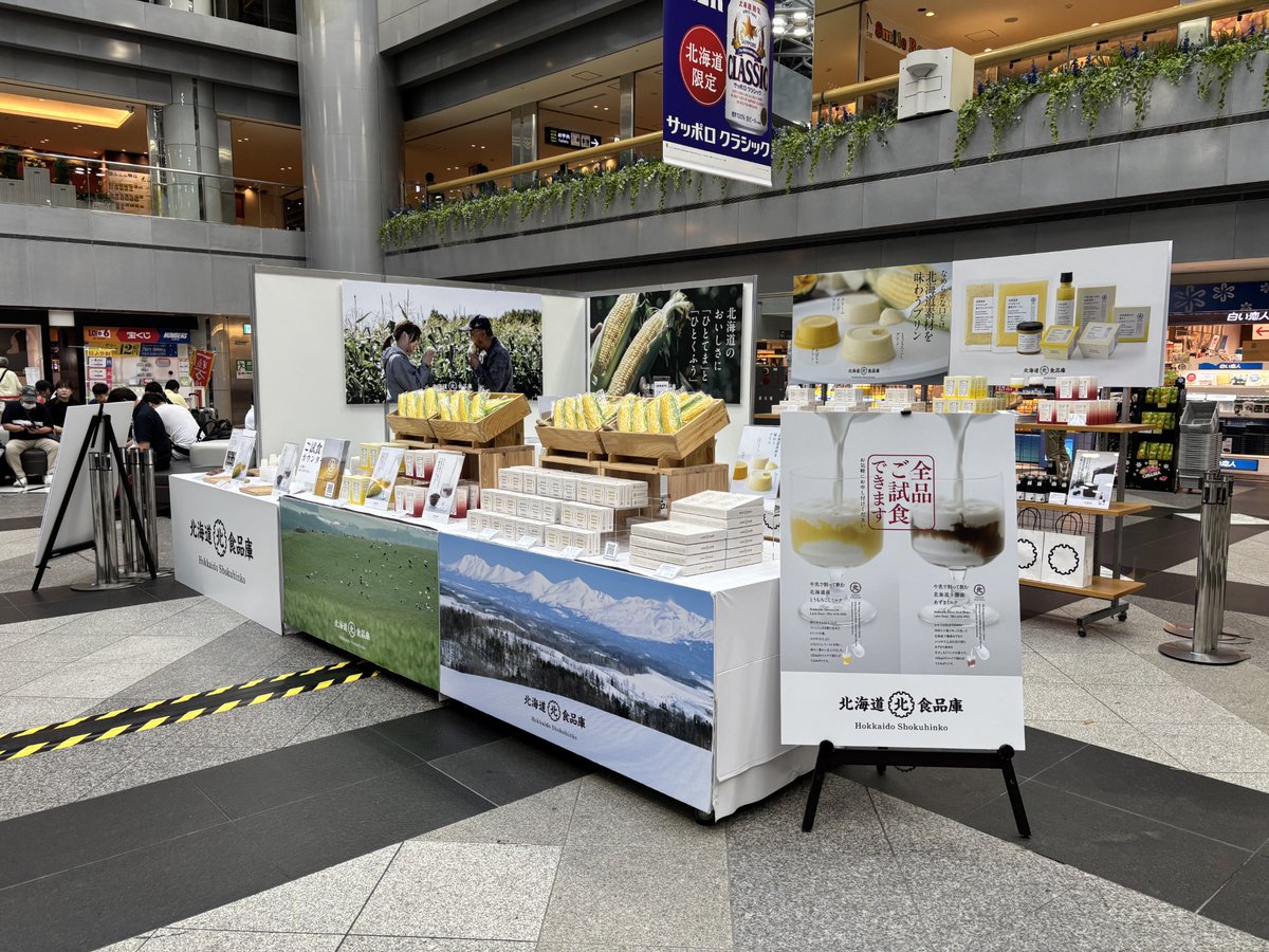 新千歳空港/New Chitose Airport tweet media